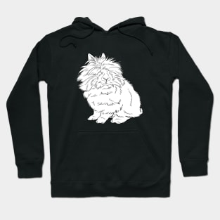 Angora Kaninchen Hoodie